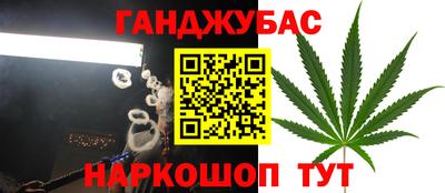 кокс Донской