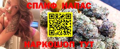 jwh Дубна