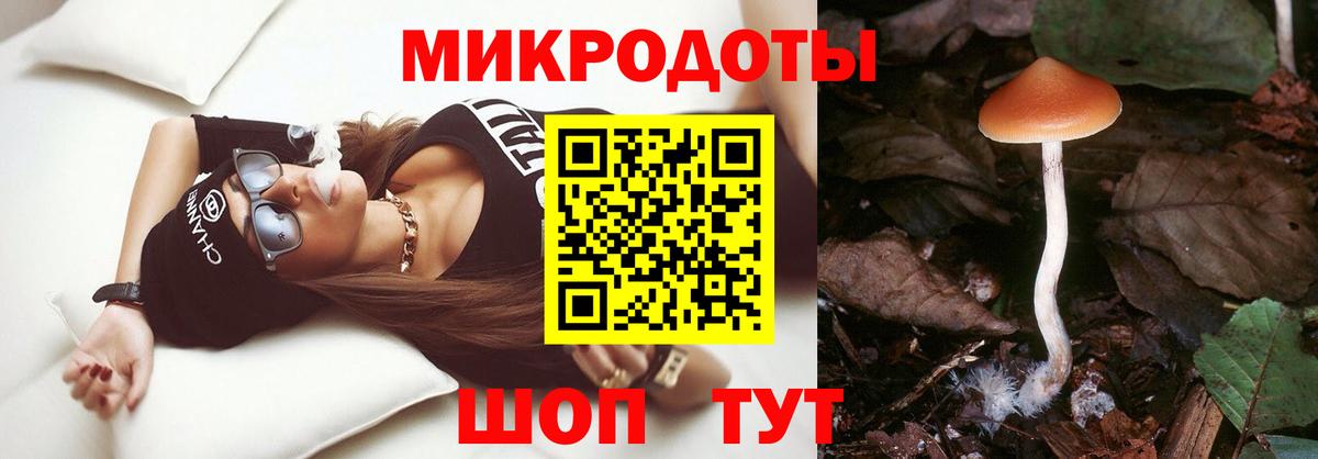 Галлюциногенные грибы GOLDEN TEACHER Муравленко